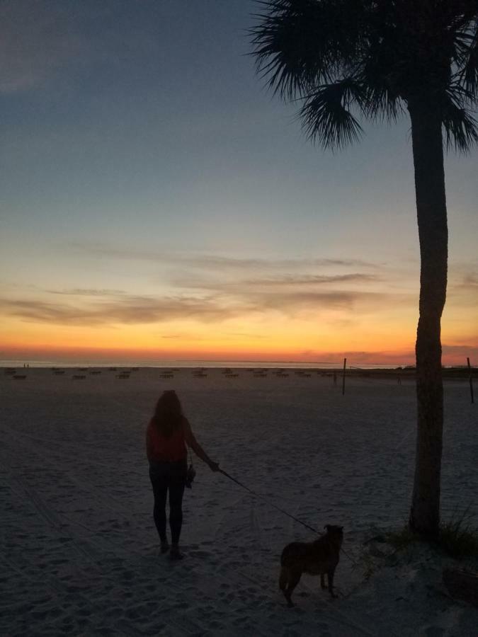 Carousel Beach Inn Fort Myers Beach Dış mekan fotoğraf