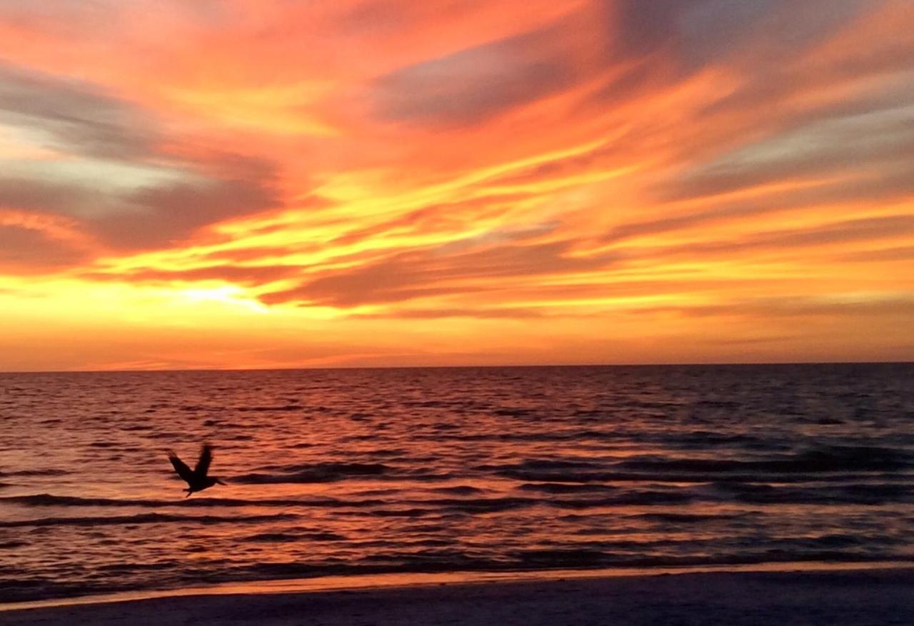 Carousel Beach Inn Fort Myers Beach Dış mekan fotoğraf